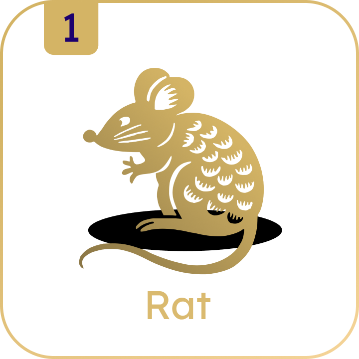 Rat