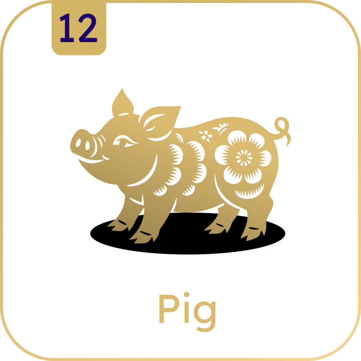 Pig