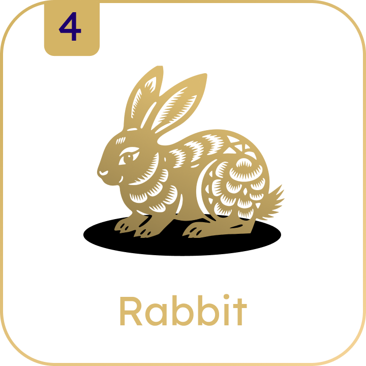 Rabbit