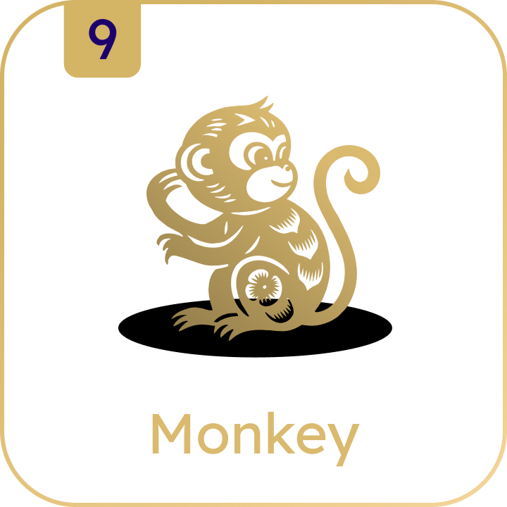 Monkey