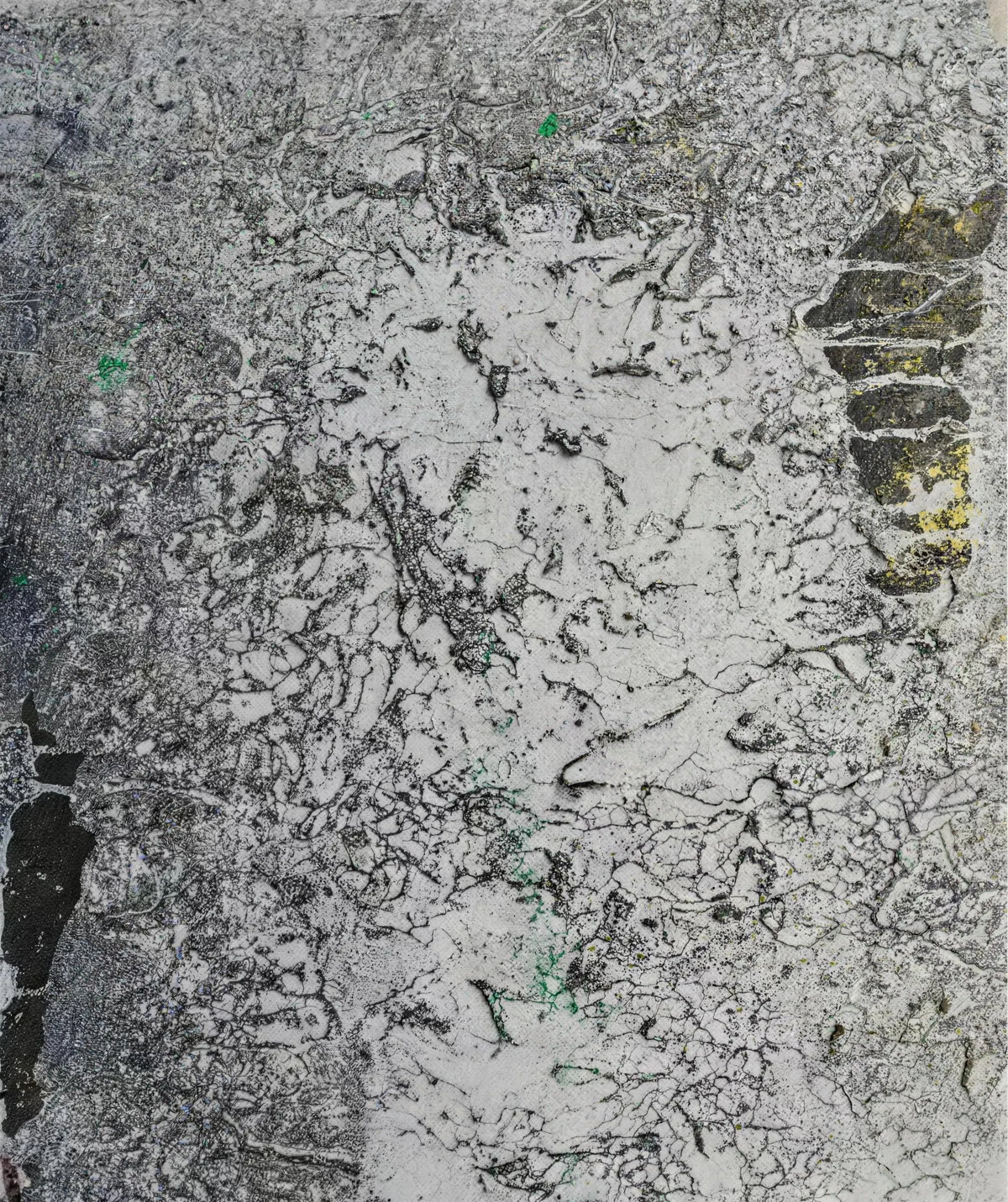 A Life in Ink by Jie (Peng Jie) — additional artwork view 6