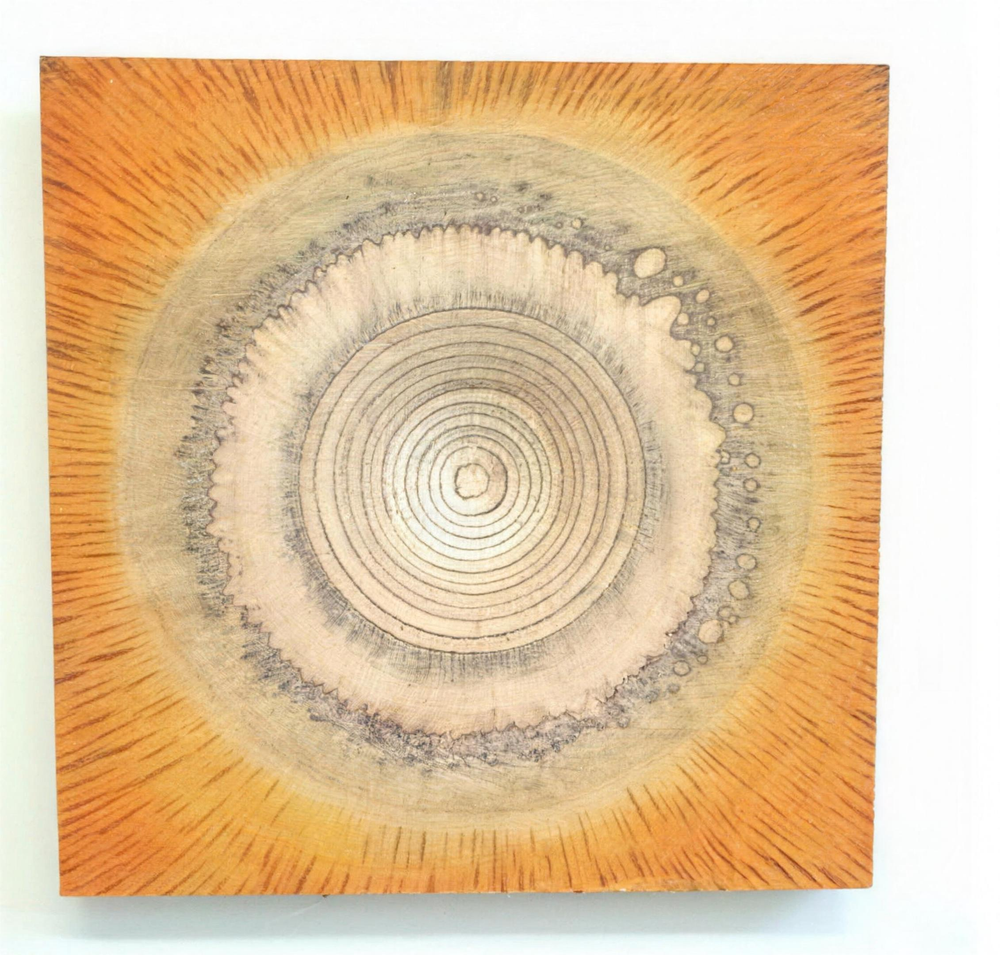 Carved Ember by Neeve Moule Drige — original artwork