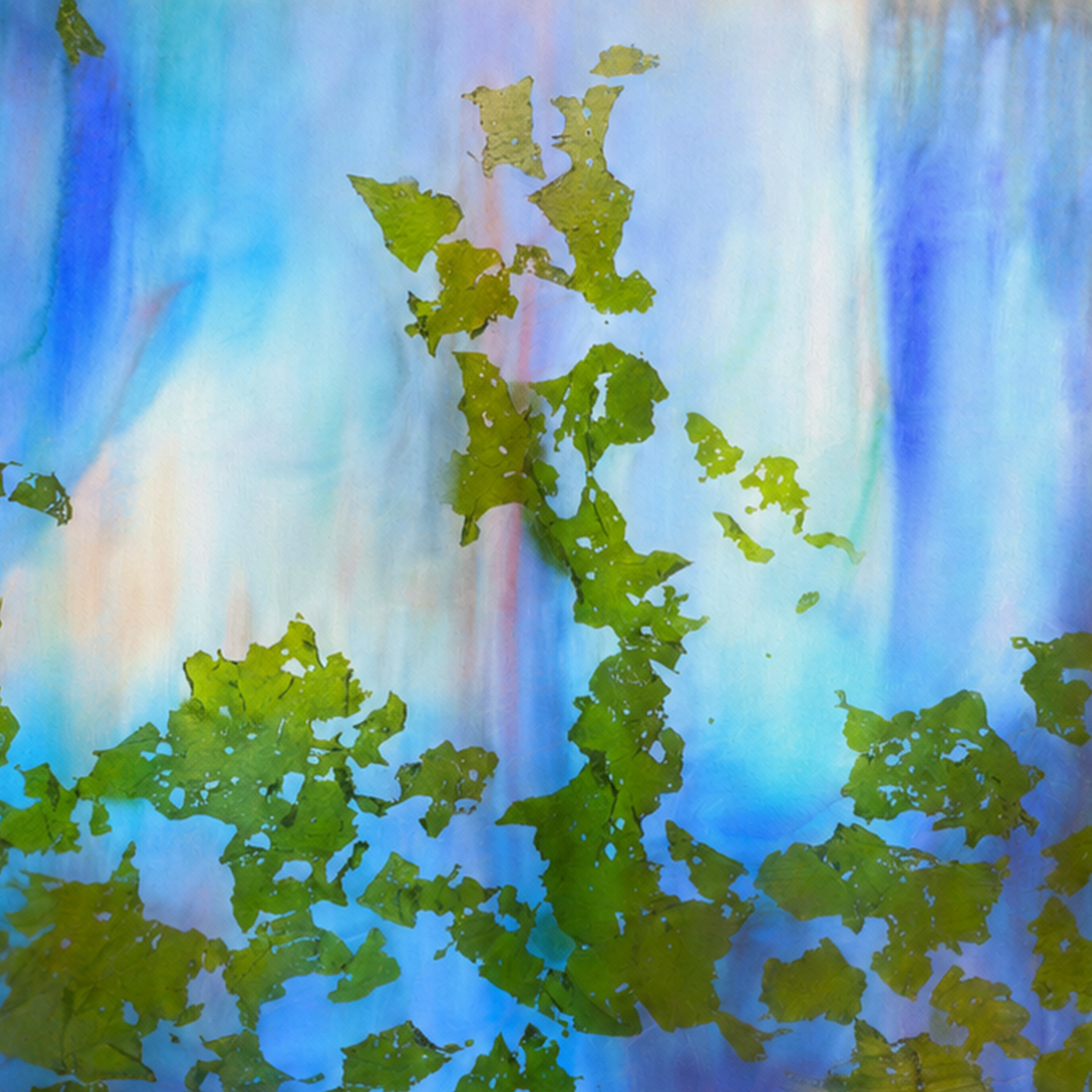 Tidal Herbarium by Neeve Moule Drige — detail view, view 2